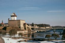 Narva loss